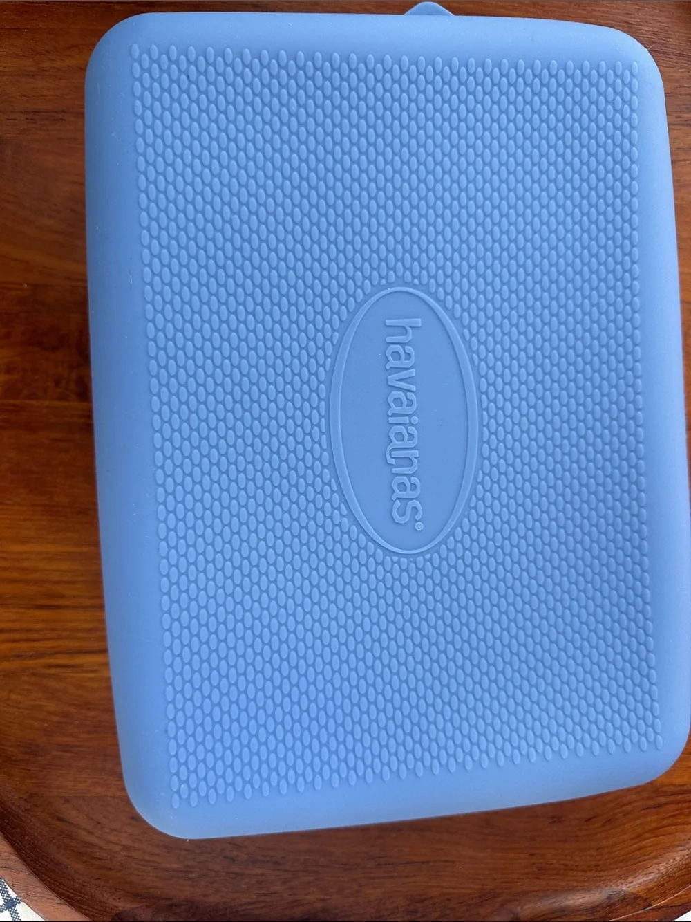 Havaianas Light Blue Silicone Make up Bag